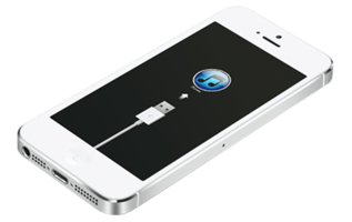 Перепрошивка IPhone Перепрошивка IPhone