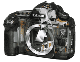 устройство зеркального фотоаппарата